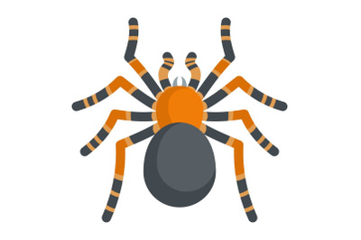 Tarantula icon, cartoon style