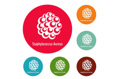 Staphylococcus aureus icons circle set vector