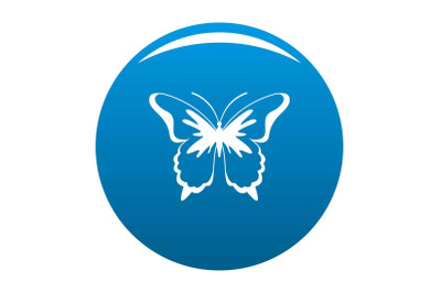 Insect butterfly icon blue vector