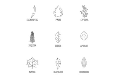 Leaf structure icons set, outline style