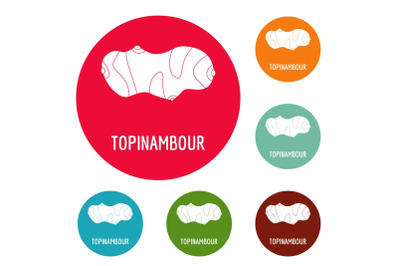 Topinambour icons circle set vector