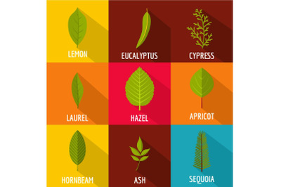 Tree leave icons set, flat style
