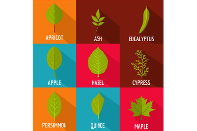 Petal icons set, flat style