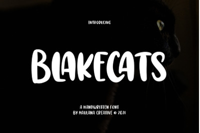 Blakecats Handwritten Font