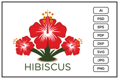 Hibiscus flower design illustration