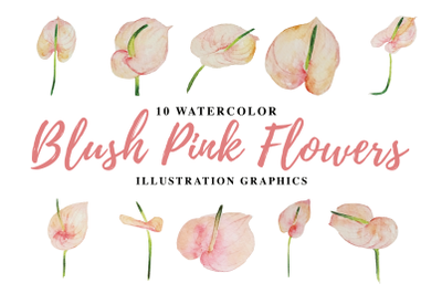 10 Watercolor Blush Pink Flowers Illustration Graphics