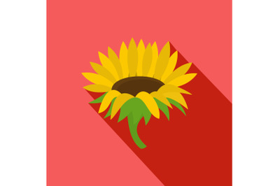 Blossoming sunflower icon, flat style