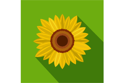 Bright sunflower icon, flat style