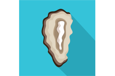 Seashell icon, flat style