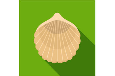 Beautiful shell icon, flat style