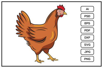 Chicken design illustration