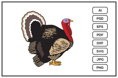 Turkey design illustration