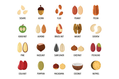 Nut types with signed names icons set, flat style