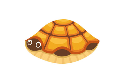 Turtle in house icon, cartoon style