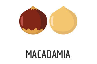 Macadamia icon, flat style