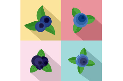 Blueberry sweet fruit icons set flat style