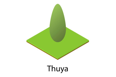 Thuya icon, isometric style