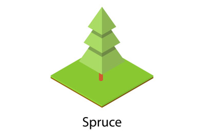 Spruce tree icon, isometric style