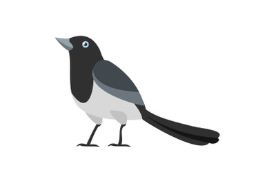Clever magpie icon, flat style