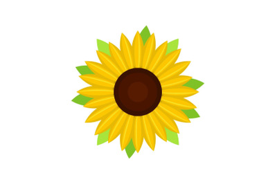 Nice sunflower icon, flat style