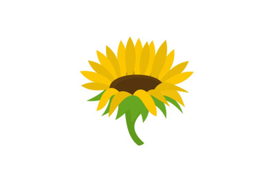 Blossoming sunflower icon, flat style