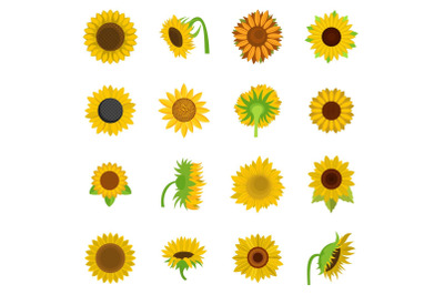 Sunflower blossom icons set vector isolated