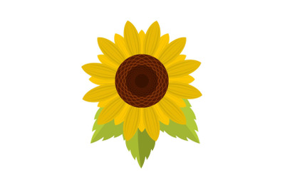 Natural sunflower icon, flat style