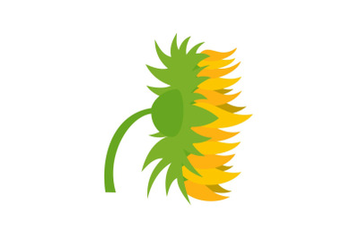 Garden sunflower icon, flat style