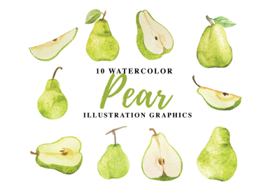10 Watercolor Pear Illustration Graphics