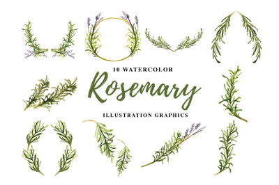 10 Watercolor Rosemary Illustration Graphics