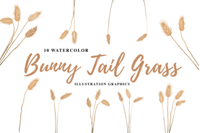 10 Watercolor Bunny Tail Grass Illustration Graphics