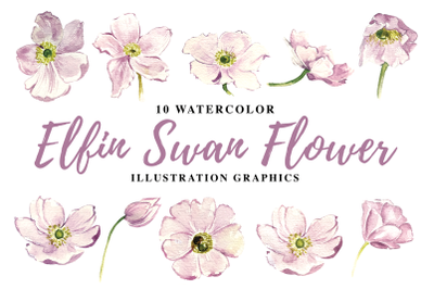 10 Watercolor Elfin Swan Flowers Illustration Graphics
