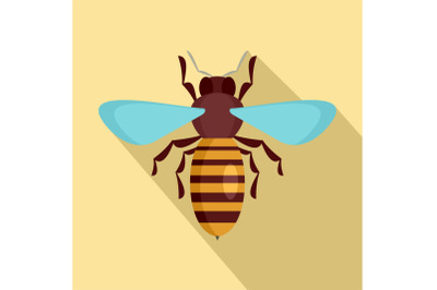 Bee insect icon, flat style