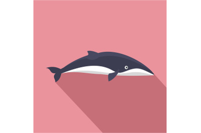 Minke whale icon, flat style
