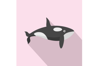 Orca whale icon, flat style