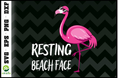 Funny Flamingo Resting Beach Face
