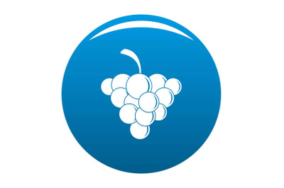 Mellow grape icon vector blue