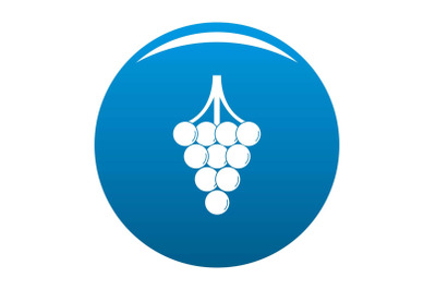 Unripe grape icon vector blue