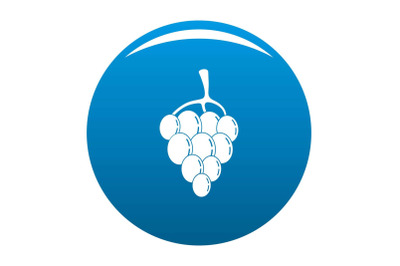 Berry grape icon vector blue