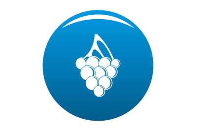 Sultana grape icon vector blue