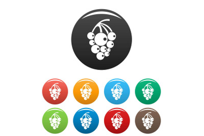 Isabella grapes icons set color vector