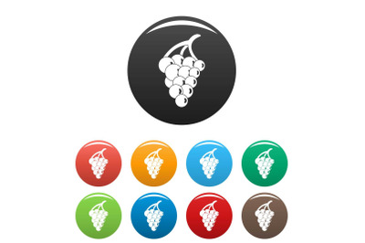 Grape for restaurant icons set color vector
