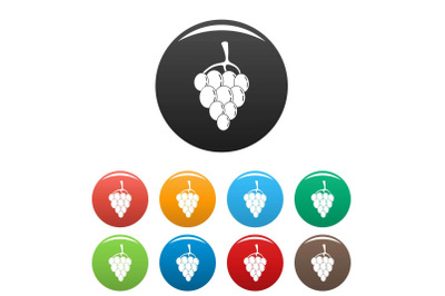 Berry grape icons set color vector