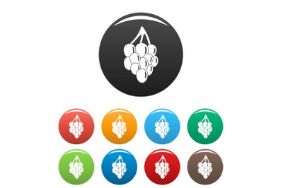Bunch grape icons set color vector
