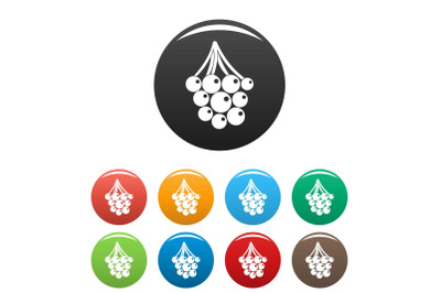 Sweet grape icons set color vector