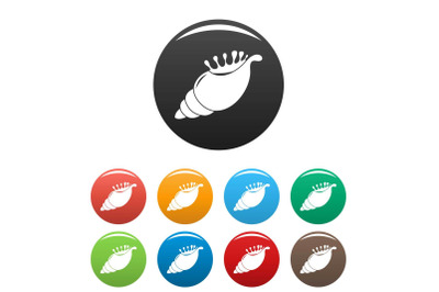 Exotic shell icons set color vector