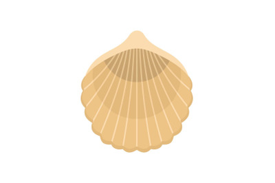 Beautiful shell icon, flat style