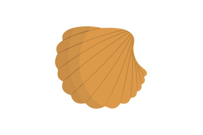 Nature shell icon, flat style