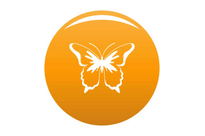 Insect butterfly icon vector orange