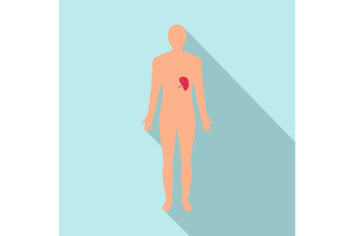 Front view of human spleen icon, flat style
